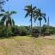 Bushpigs Haven - 205466