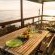The Upper Deck at Sunny Cove - 205471