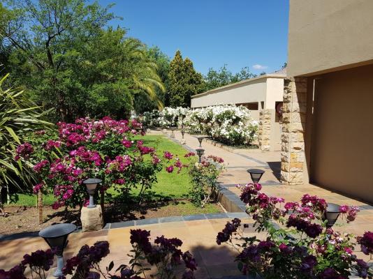 Acacia Lodge Bloemfontein - 205650