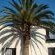 Louhallas Cottages - 205785