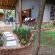 Owl Spot - 205865