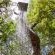 Owl Spot - 205866