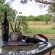Owl Spot - 205867