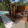Owl Spot - 205877