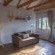 Owl Spot - 205878