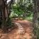 Owl Spot - 205888