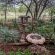 Owl Spot - 205900