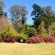 The Hogsback Inn - 205923