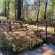 The Hogsback Inn - 205927