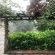 The Hogsback Inn - 205980