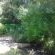 The Hogsback Inn - 205992