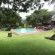 Amafu Forest Lodge - 206171