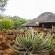 Amafu Forest Lodge - 206173