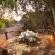 Garonga Safari Camp - 206406