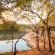 Garonga Safari Camp - 206407