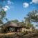 Little Garonga - 206445