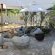 Albatross Guesthouse - 206512
