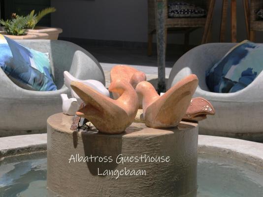 Albatross Guesthouse - 206515