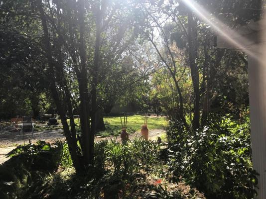 Simoni Guesthouse - 206579