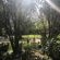 Simoni Guesthouse - 206579