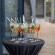 The Rex Hotel - 206630
