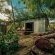 Kokiville Homestead - 206730