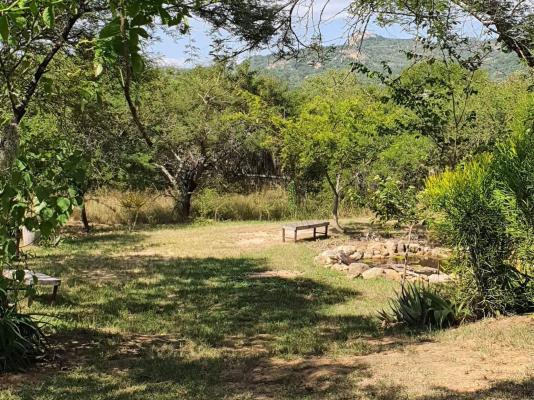 Kokiville Homestead - 206733