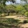 Kokiville Homestead - 206733