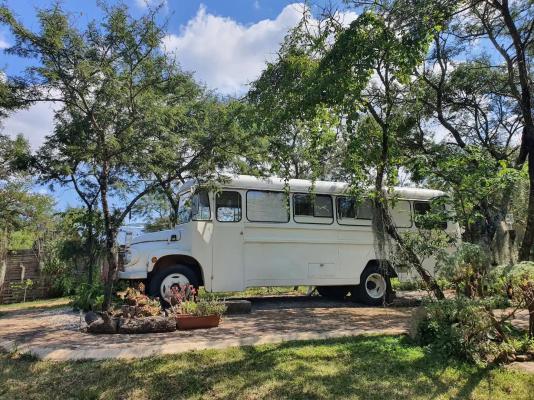 Kokiville Homestead - 206734