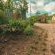 Kokiville Homestead - 206736