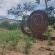 Kokiville Homestead - 206738