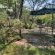 Kokiville Homestead - 206740