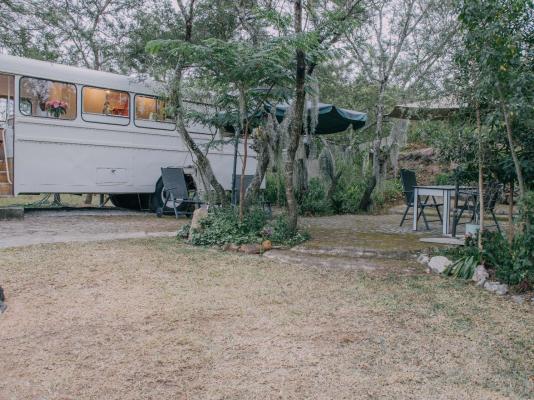 Kokiville Homestead - 206742