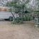 Kokiville Homestead - 206742