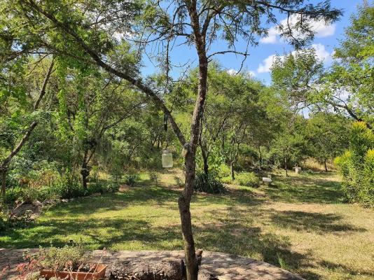 Kokiville Homestead - 206744