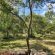 Kokiville Homestead - 206744