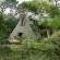 Kokiville Homestead - 206766