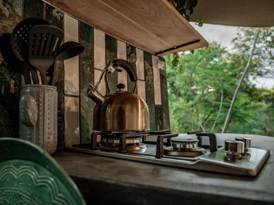 Kokiville Homestead - 206768