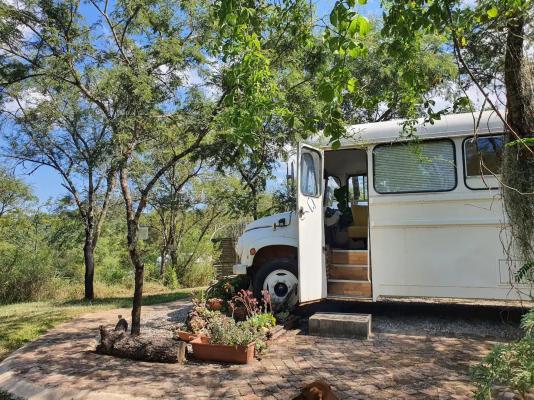 Kokiville Homestead - 206786