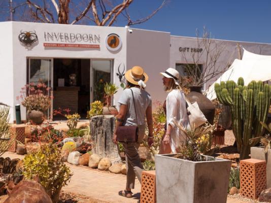 Inverdoorn Game Reserve - 206795