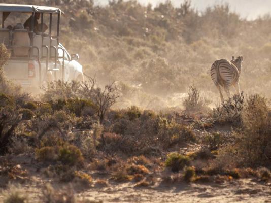 Inverdoorn Game Reserve - 206798