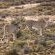 Inverdoorn Game Reserve - 206805