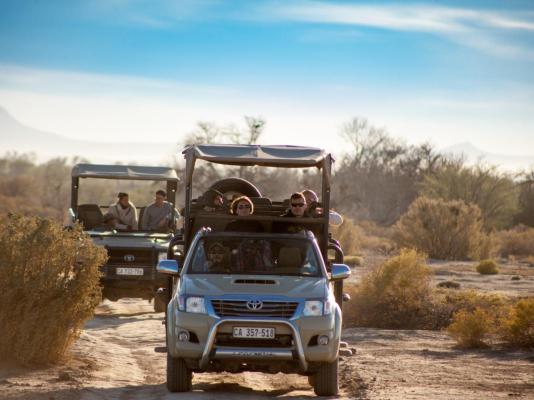 Inverdoorn Game Reserve - 206806