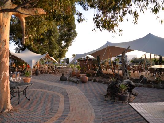 Inverdoorn Game Reserve - 206814