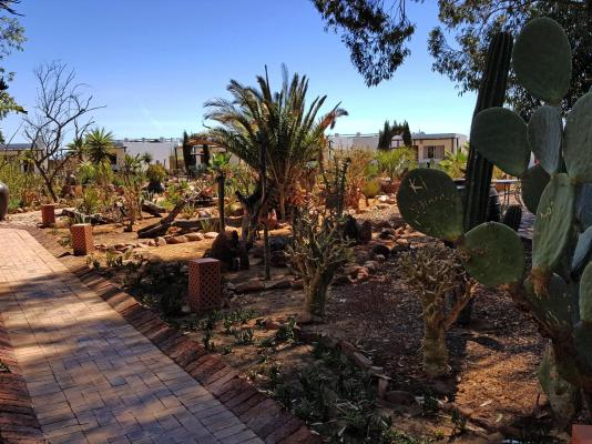 Inverdoorn Game Reserve - 206815