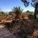 Inverdoorn Game Reserve - 206815