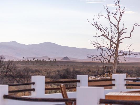 Inverdoorn Game Reserve - 206825