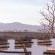 Inverdoorn Game Reserve - 206825