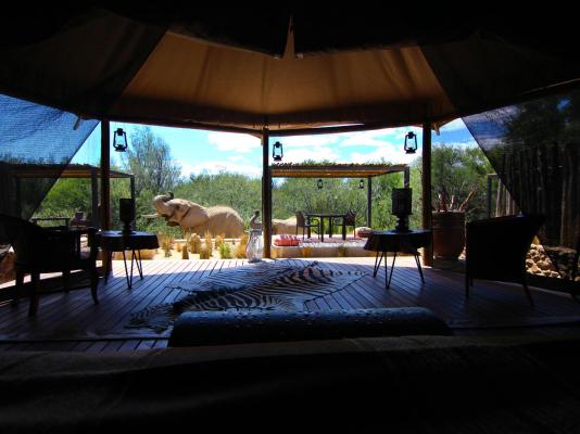 Inverdoorn Game Reserve - 206833
