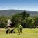 Kruger Park Lodge - 206925